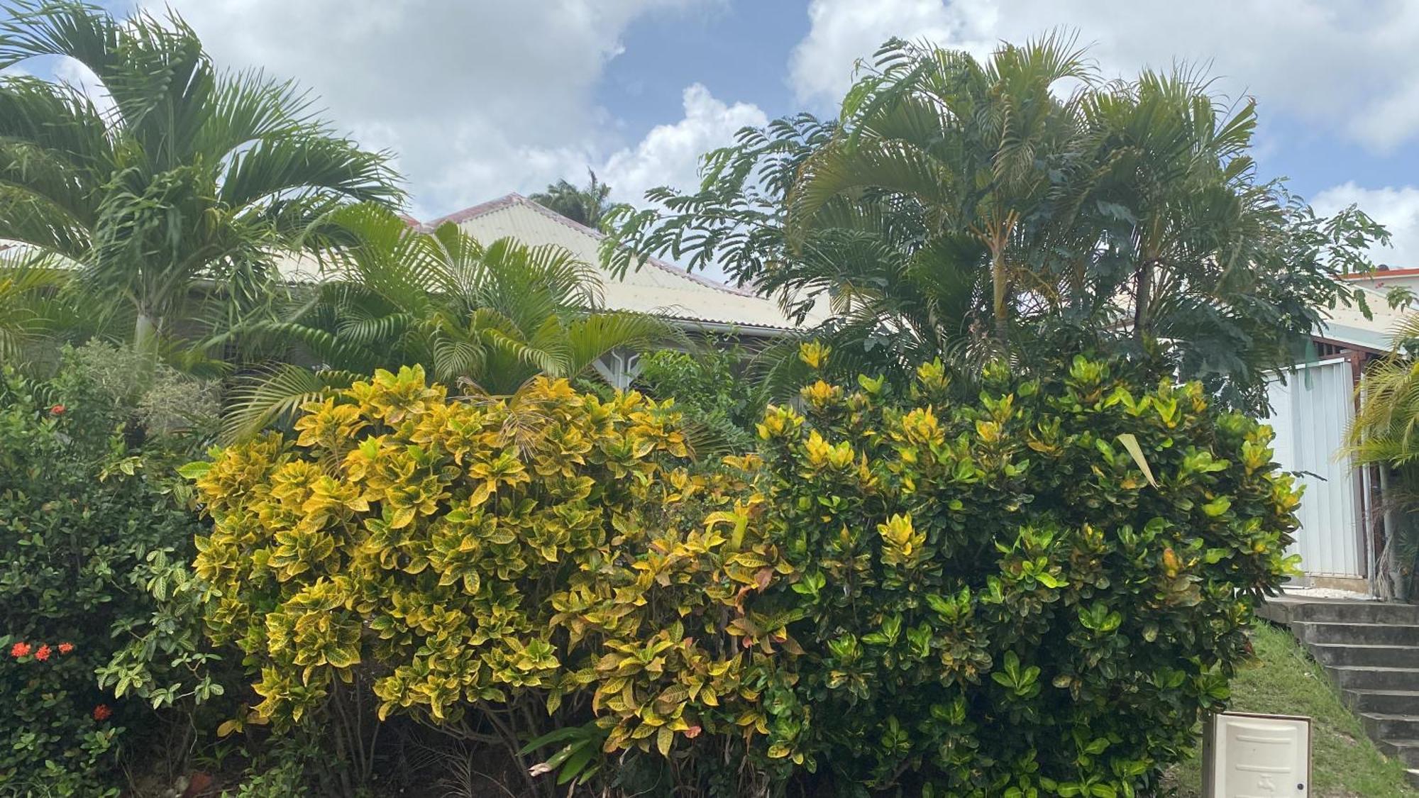 Bungalow Belfond Plage Pointe Marin 생트안느 외부 사진